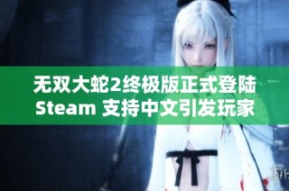 无双大蛇2终极版正式登陆Steam 支持中文引发玩家热议