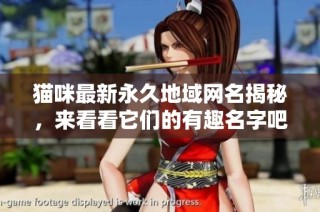 猫咪最新永久地域网名揭秘，来看看它们的有趣名字吧