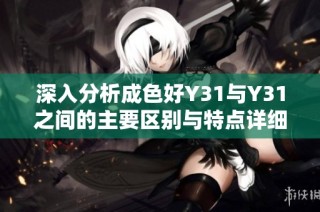深入分析成色好Y31与Y31之间的主要区别与特点详细对比