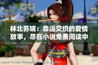 林北苏婉：命运交织的爱情故事，尽在小说免费阅读中尽享精彩情节