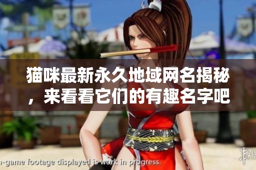 猫咪最新永久地域网名揭秘，来看看它们的有趣名字吧